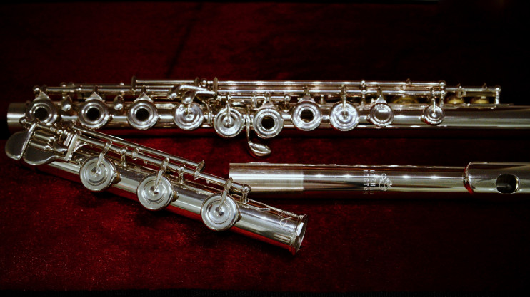 Флейта Di Zhao - DZ-DTHGRC#